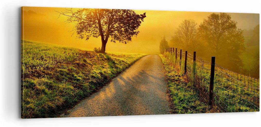 Panorama Bilder auf Leinwand 100x40cm Leinwandbild Feld Strasse Baum Gross Wanddeko Bild Schlafzimme