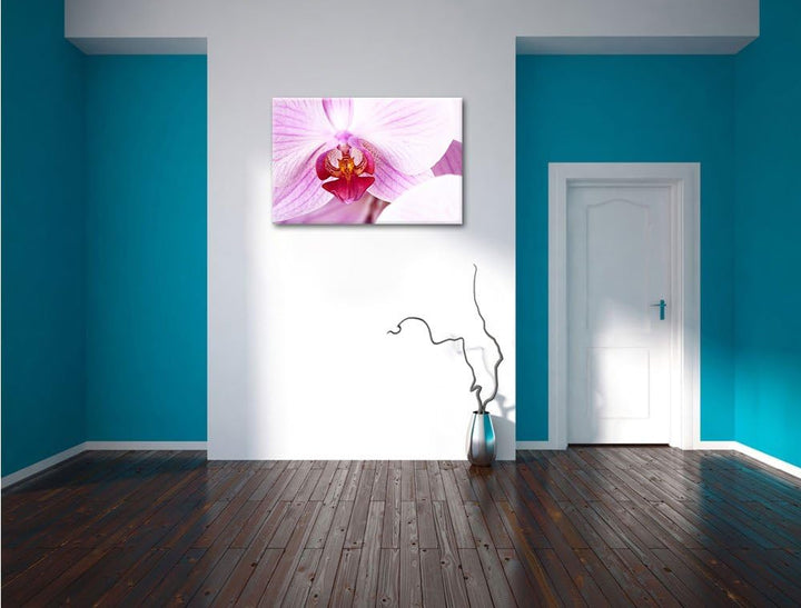 Prächtige Rosa Orchidee Format: 100x70 auf Leinwand, XXL riesige Bilder fertig gerahmt mit Keilrahme