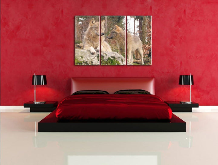 Pixxprint Wölfe im Wald als Leinwandbild/Grösse: 3 Teilig (120x80) / Wandbild/Kunstdruck/fertig besp