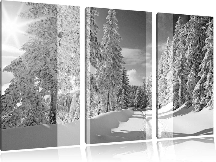 ruhige Winterlandschaft mit verschneiten Bäumen schwarz/weiss 3-Teiler Leinwandbild 120x80 Bild auf