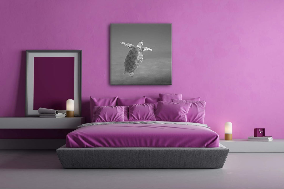 deyoli schwimmende Schildkröte im Ozean im Format: 70x70 Effekt: Schwarz&Weiss als Leinwandbild, Mot