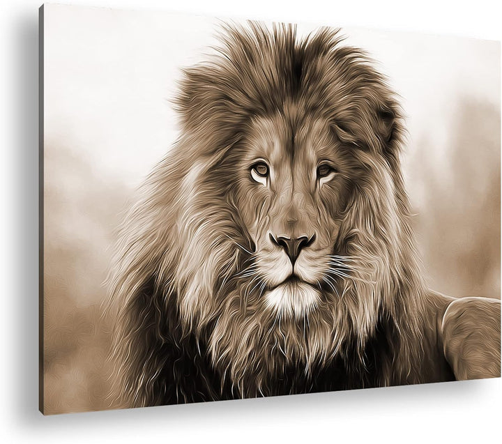 deyoli Stolzer Löwe Effekt: Sepia Format: 80x60 als Leinwandbild, Motiv fertig gerahmt auf Echtholzr