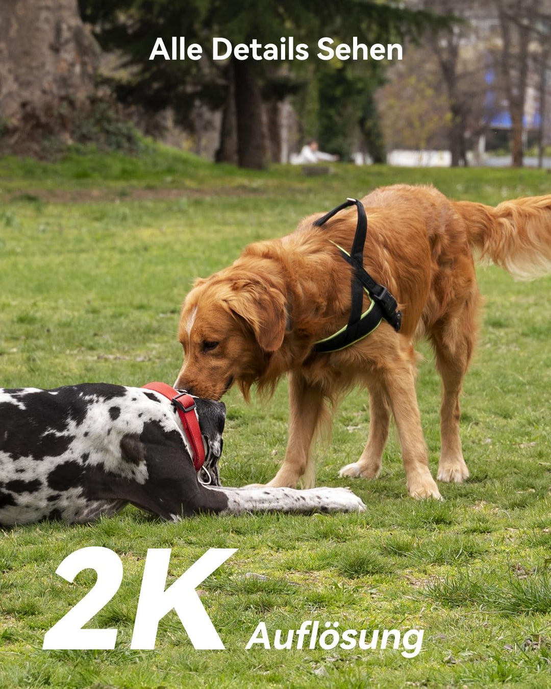 Imou Bullet 2E 4MP Überwachungskamera Aussen & Innen WLAN 4 Modelle, WLAN IP Kamera Outdoor Wi-Fi 2.