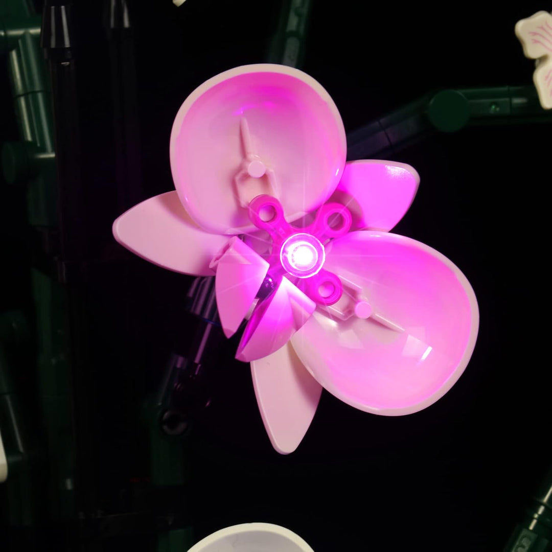LocoLee Led Licht Set Kompatibel mit LEGO Orchidee, Led Beleuchtungs Set Compatible with LEGO 10311