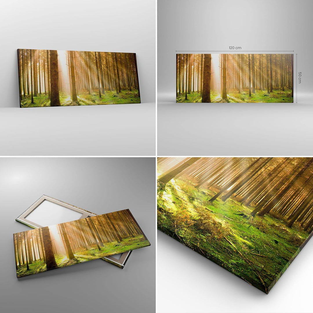 Wandbilder Dekoration Wohnzimmer Bäume Sonne Natur Panorama Bilder auf Leinwand 120x50cm Leinwandbil