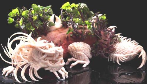 triangle 90 858 20 02 Schnitzmesser Set Artist, 20-teilig Carving Schnitz Werkzeuge in professionell