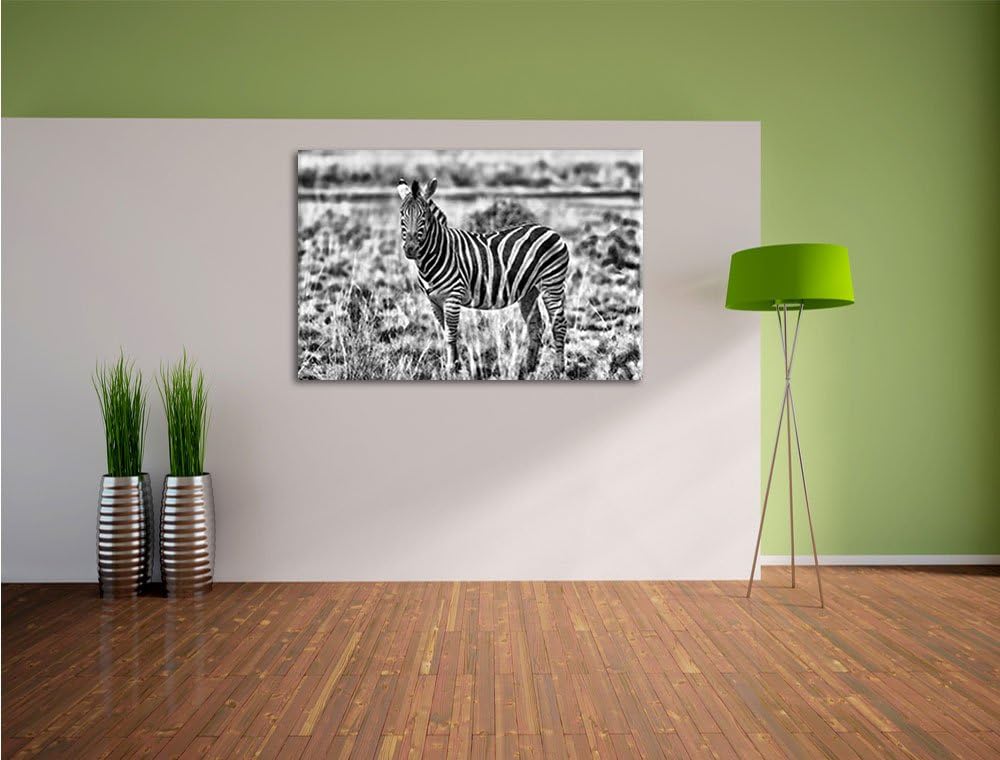 Pixxprint Zebra im Wildgras / 100x70cm Leinwandbild bespannt auf Holzrahmen/Wandbild Kunstdruck Deko