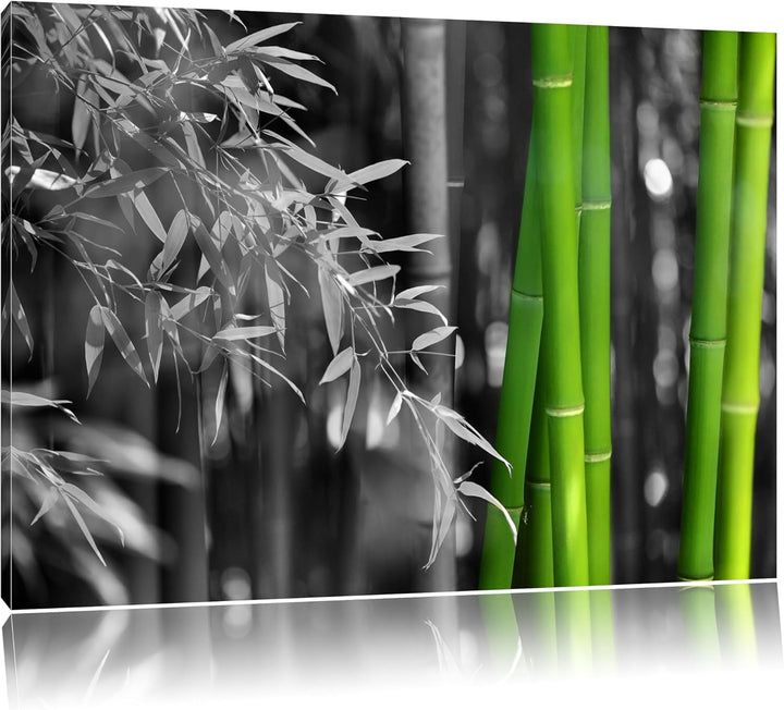 frischer Bambus schwarz/weiss Format: 100x70 auf Leinwand, XXL riesige Bilder fertig gerahmt mit Kei