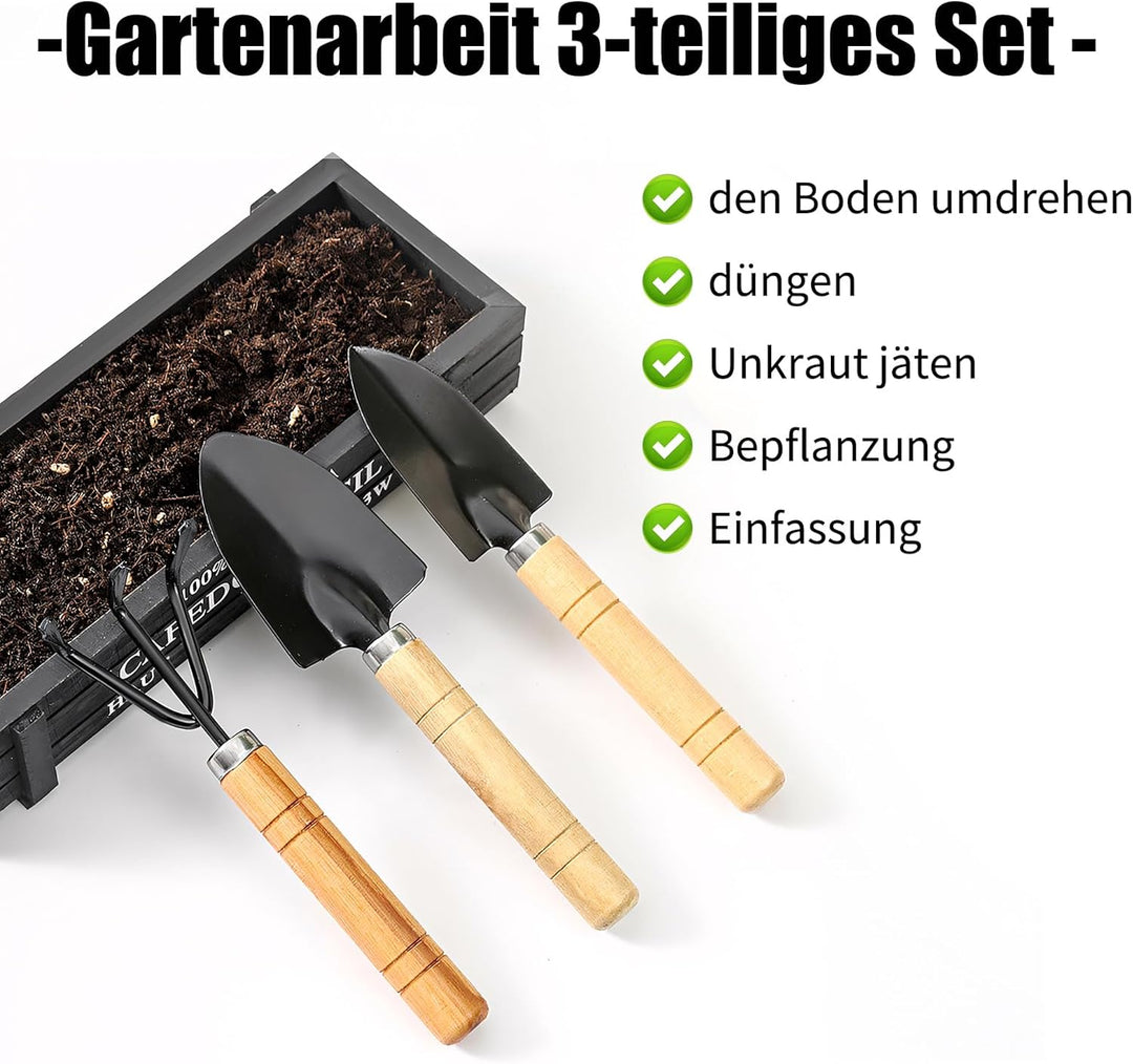 Mini Gartengeräte 3 Stück Set, 3 Stück Sukkulenten Gartengeräte, Holzgriff Handheld Mini Kelle, Scha
