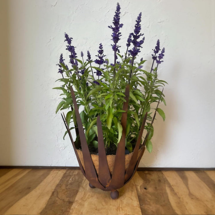 ecosoul Schale Windlicht Kerzenhalter Lotus Dekoschale verrostet mit 3 Füssen Durchmesser: 24cm unte