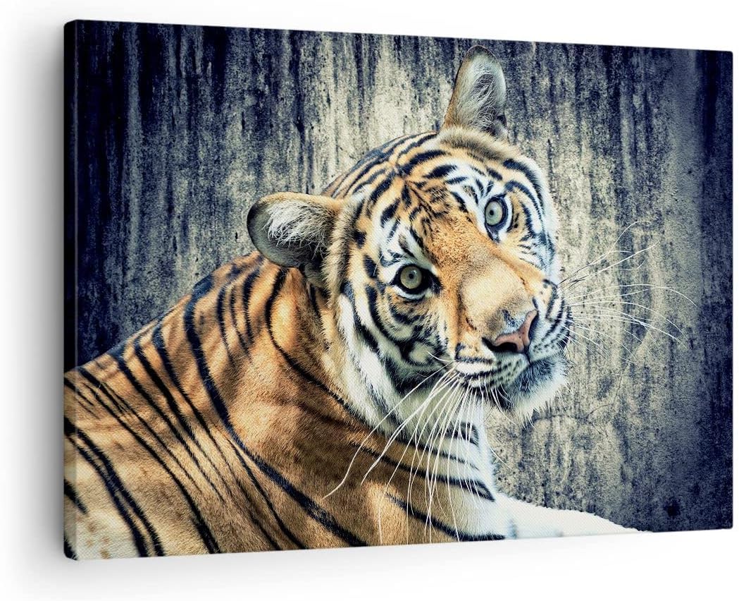 ARTTOR Bilder auf Leinwand Indien stein tiger wild Leinwandbild 70x50cm Wandbilder Dekoration Wohnzi