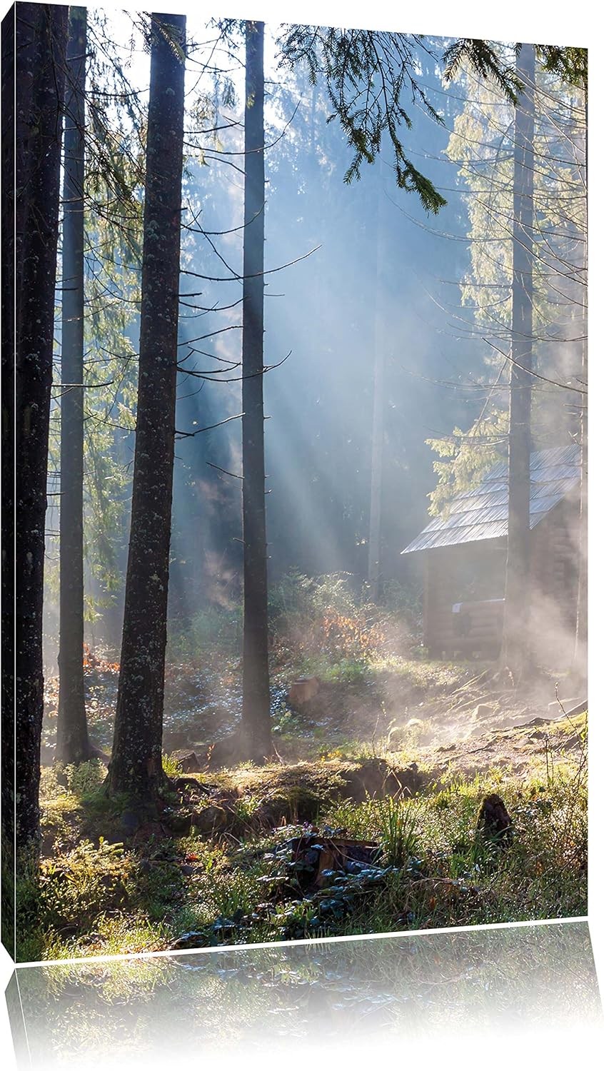 Sonnenstrahlen im Wald, Format: 100x70 auf Leinwand, XXL riesige Bilder fertig gerahmt mit Keilrahme