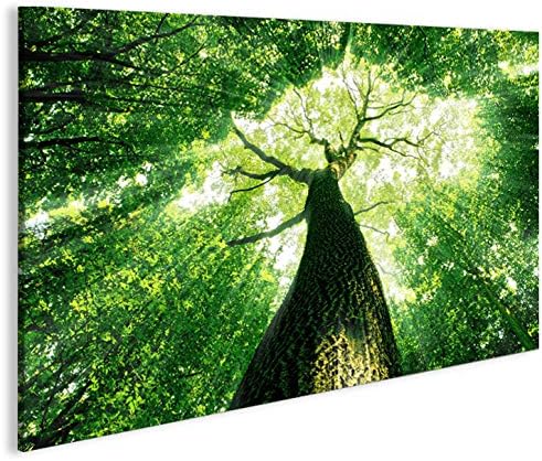 islandburner Bild Bilder auf Leinwand Baumkrone Grün Wald Sonnenstrahlen Bäume 1p XXL Poster Leinwan