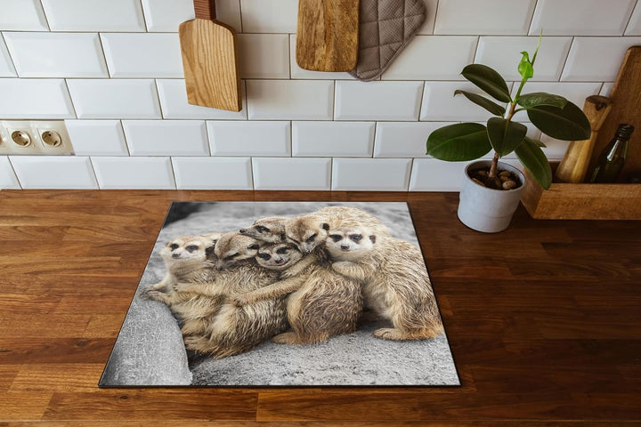 süsse Erdmännchen kuscheln Herdabdeckplatte & Spritzschutz aus Echtglas | Für Herd-Kochfelder | 60x5