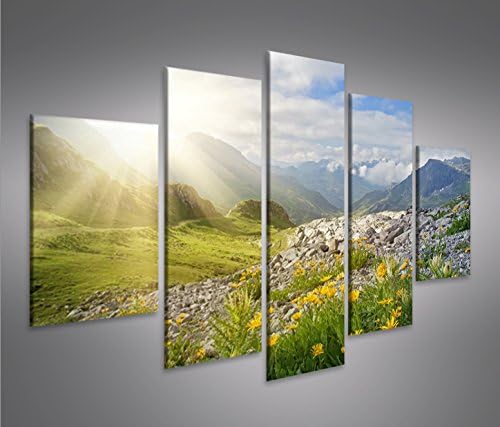 islandburner Bild Bilder auf Leinwand Bergwiese V2 Alpen Landschaft Berge Sonne MF XXL Poster Leinwa
