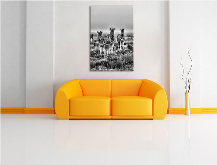 Pixxprint Zebras in Savanne als Leinwandbild/Grösse: 100x70 cm/Wandbild/Kunstdruck/fertig bespannt,