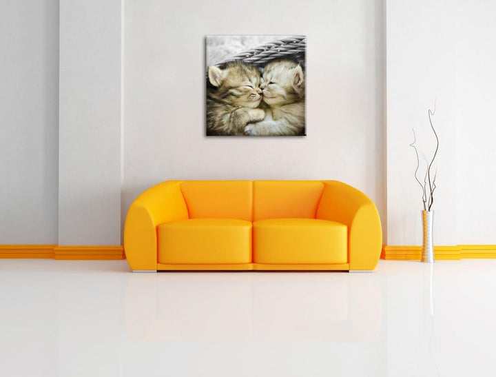 Pixxprint Zwei süsse Babykatzen im Korb als Leinwandbild/Grösse: 70x70 cm/Wandbild/Kunstdruck/fertig