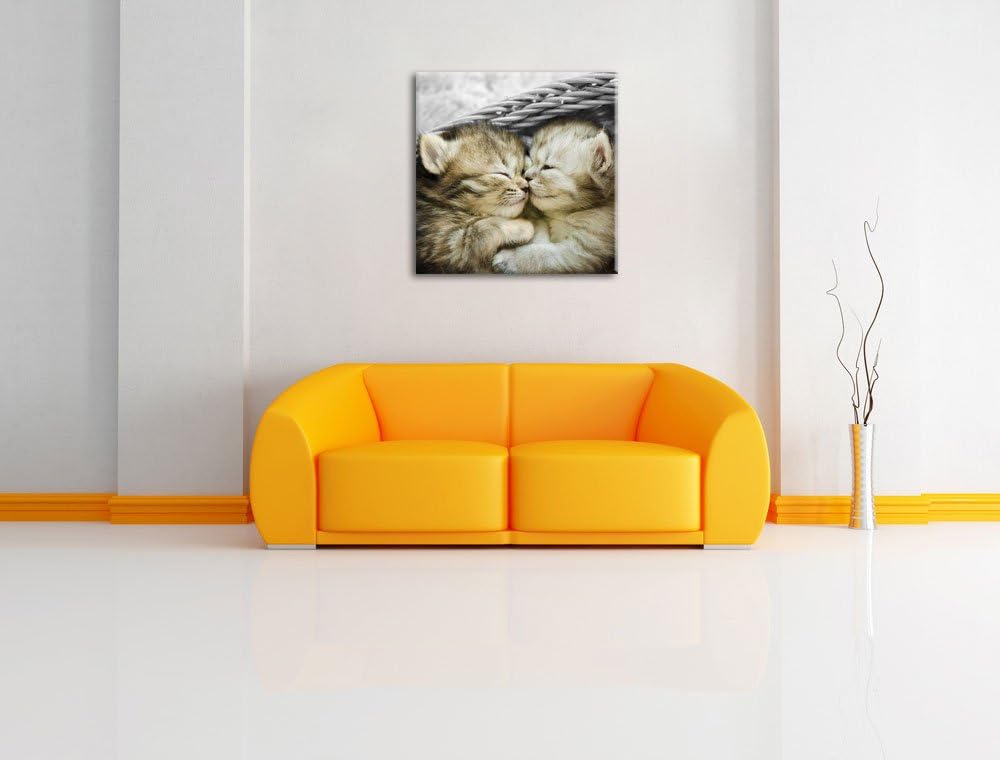 Pixxprint Zwei süsse Babykatzen im Korb als Leinwandbild/Grösse: 70x70 cm/Wandbild/Kunstdruck/fertig