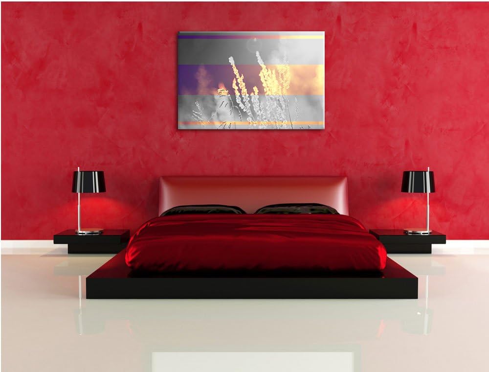 Gräser bei abendlicher Dämmerung schwarz/weiss Format: 100x70 auf Leinwand, XXL riesige Bilder ferti