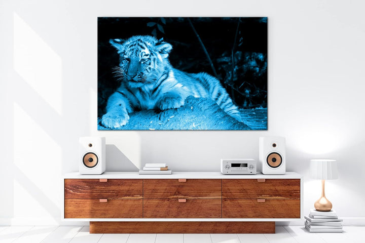 deyoli kleiner verschlafener Tiger Format 80x60 Effekt: Monocrome Blau als Leinwandbild, Motiv ferti