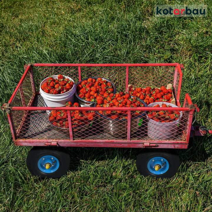 KOTARBAU® 2er Set Transportwagenrad 260 x 85mm 3.00-4 Verstärkt 4PR Reifen Komplettrad mit Achse