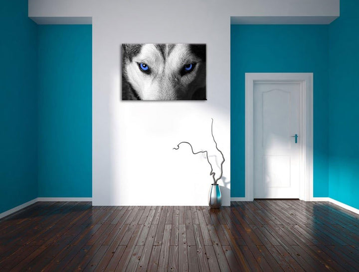 Gefährlicher Husky mit eisblauen Augen schwarz/weiss Format: 100x70 auf Leinwand, XXL riesige Bilder