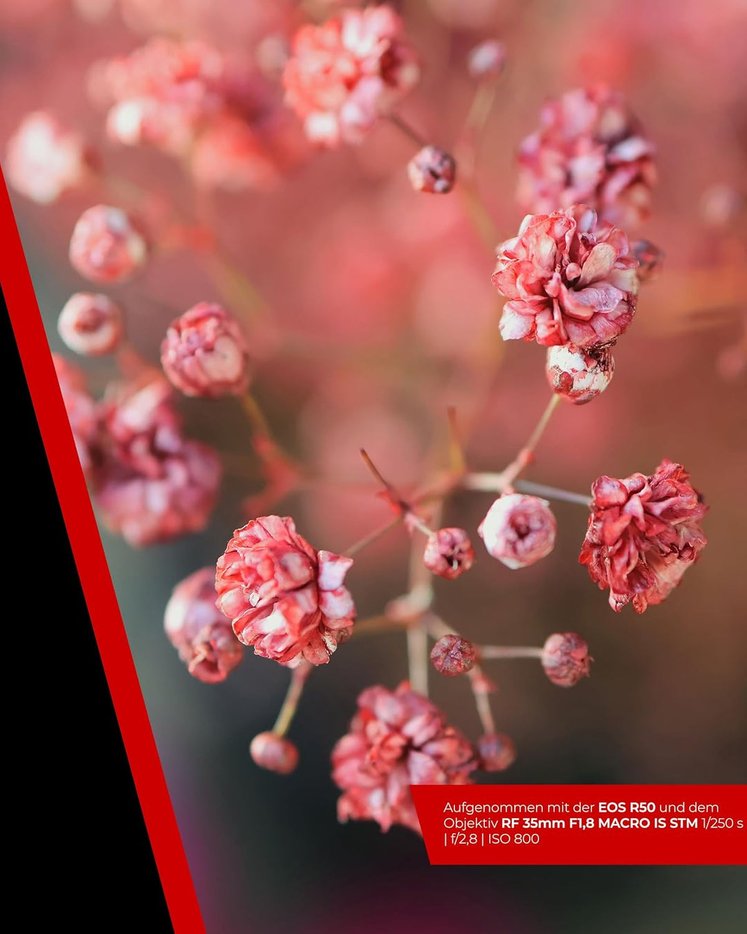 Canon EOS R50 Systemkamera + RF-S 18-45 is STM Objektiv - Spiegellose Kamera (Digitalkamera mit Auto