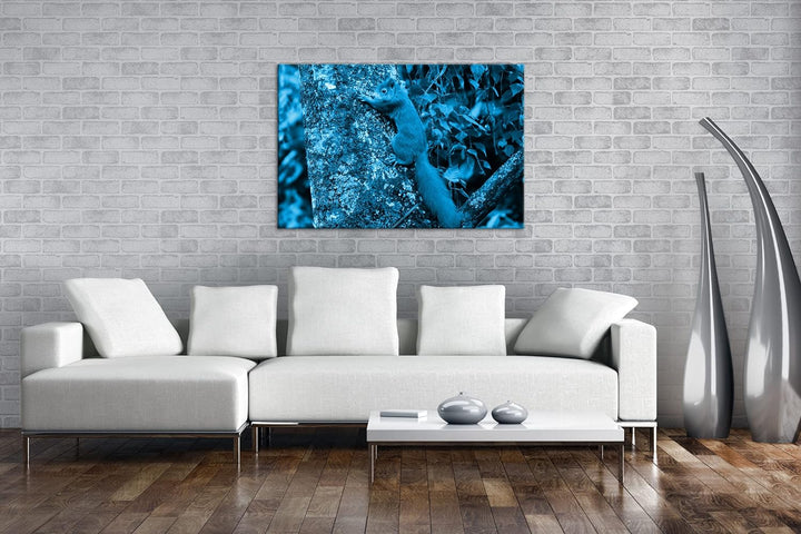 deyoli kleines niedliches Eichhörnchen auf einem Baum Format 100x70 Effekt: Monocrome Blau als Leinw