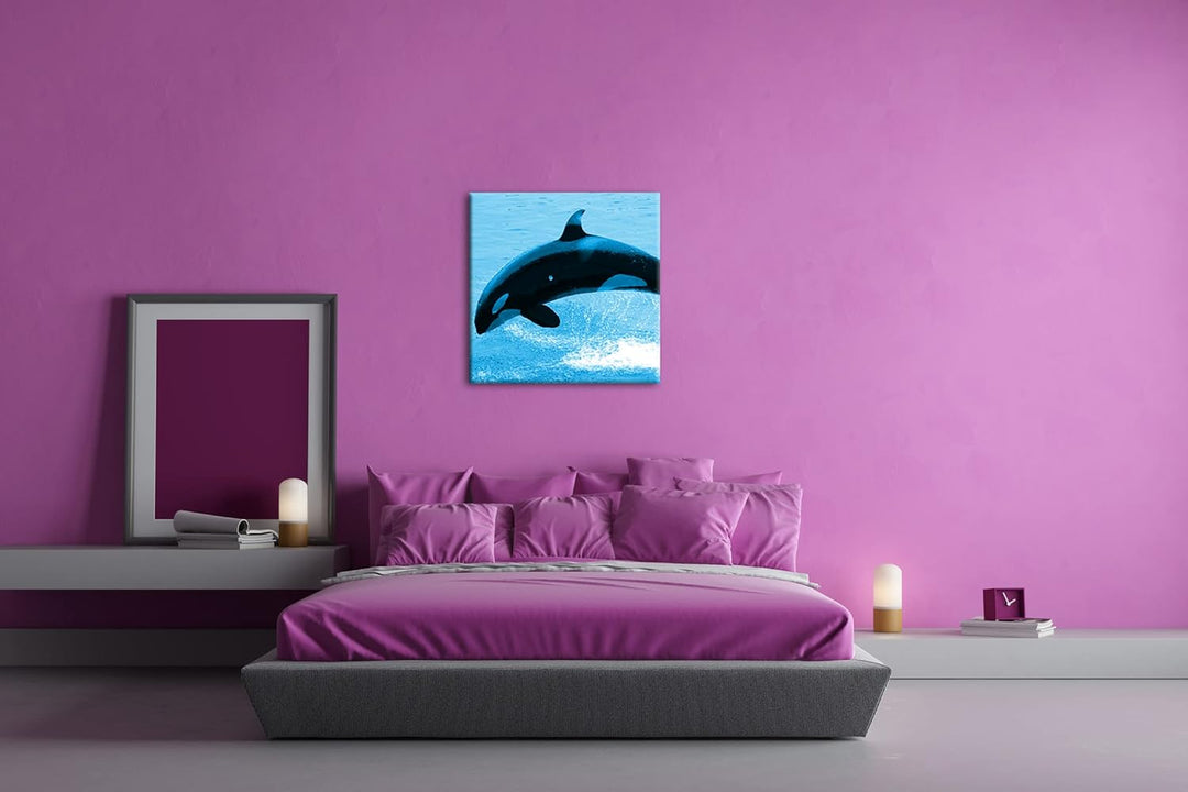 deyoli verspielter Orca Format: 70x70 Effekt: Zeichnung als Leinwandbild, Motiv auf Echtholzrahmen,
