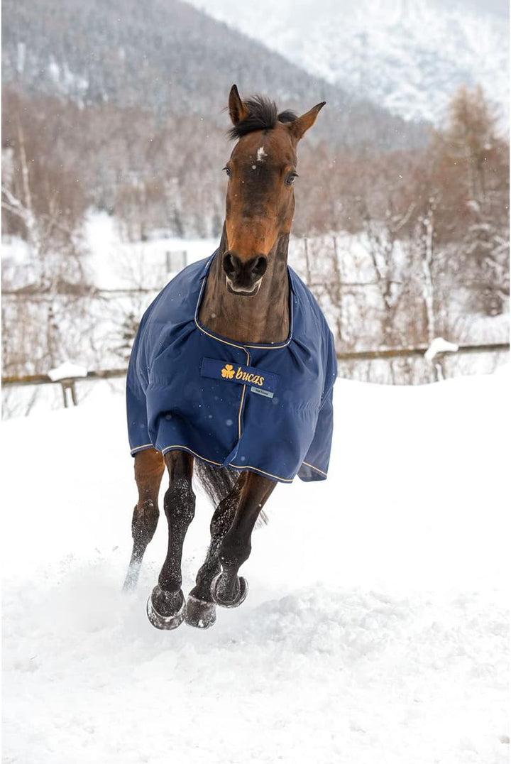 Bucas Irish Turnout 150 g Navy Gold Winterdecke, Regendecke 120cm, 120cm