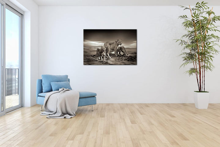 deyoli zauberhafte Löwenfamilie Format: 80x60 als Leinwandbild, Motiv fertig gerahmt auf Echtholzrah