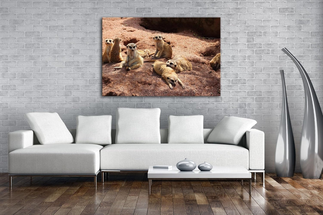 deyoli niedliche Erdmännchen Familie im Format: 80x60 als Leinwandbild, Motiv fertig gerahmt auf Ech