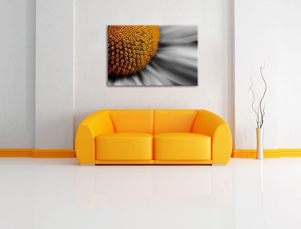 prächtige kleine Margerite schwarz/weiss auf Leinwand, XXL riesige Bilder fertig gerahmt mit Keilrah