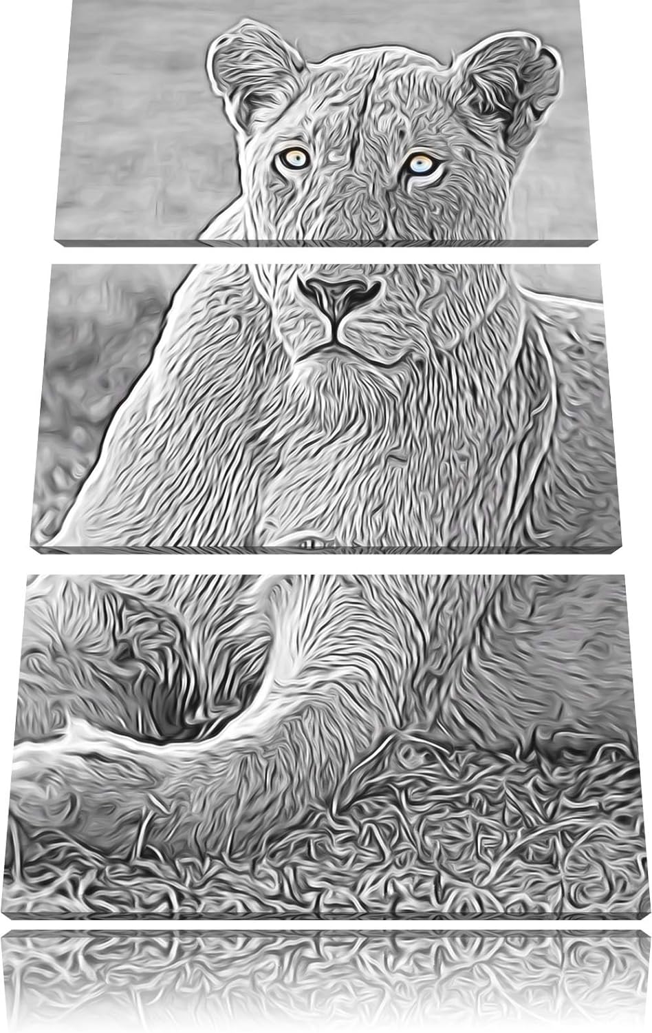 prächtige weisse Löwin schwarz/weiss Deluxe 3-Teiler Leinwandbild 120x80 Bild auf Leinwand, XXL ries