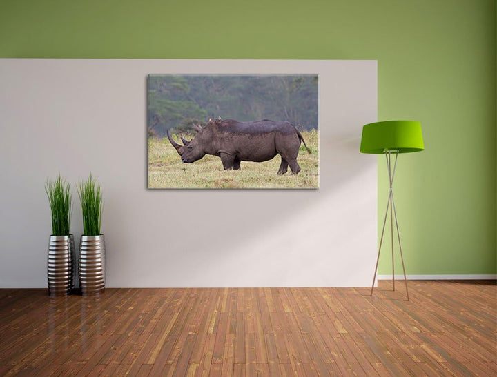 grosses Nashorn in der Savanne Leinwand, XXL riesige Bilder fertig gerahmt mit Keilrahmen, Kunstdruc