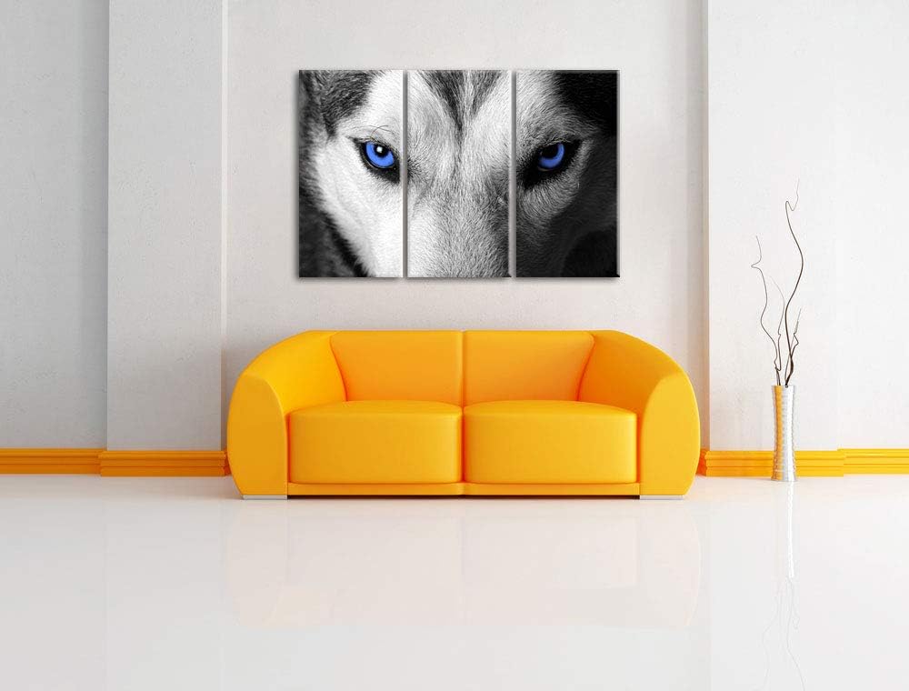 Gefährlicher Husky mit eisblauen Augen schwarz/weiss 3-Teiler Leinwandbild 120x80 Bild auf Leinwand,