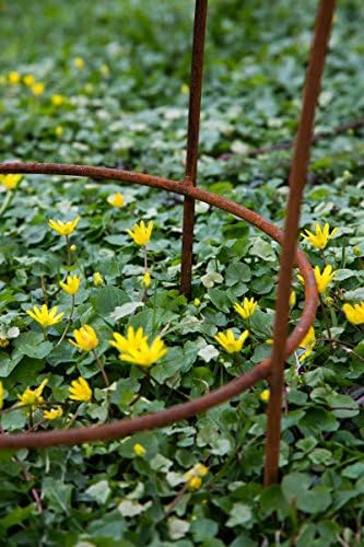 KUHEIGA Stabiler Staudenhalter Rost H: 80cm, Volleisen Strauchhalter, Rankgerüst,