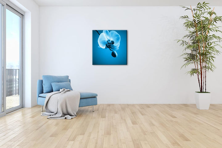 deyoli Zauberhafte Orchidee Format: 70x70 Effekt: Monocrome Blau als Leinwandbild, Motiv fertig gera