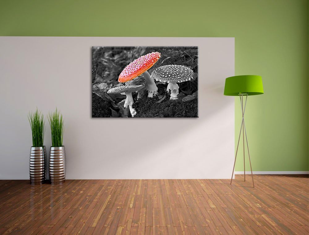 prächtige Fliegenpilze auf Waldboden schwarz/weiss auf Leinwand, XXL riesige Bilder fertig gerahmt m