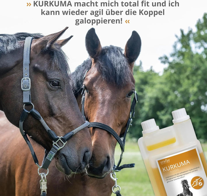 STRÖH Kurkuma für Pferde (1l Dosierflasche) • Für eine gesunde Gelenkfunktion beim Pferd • Stärkt Kn