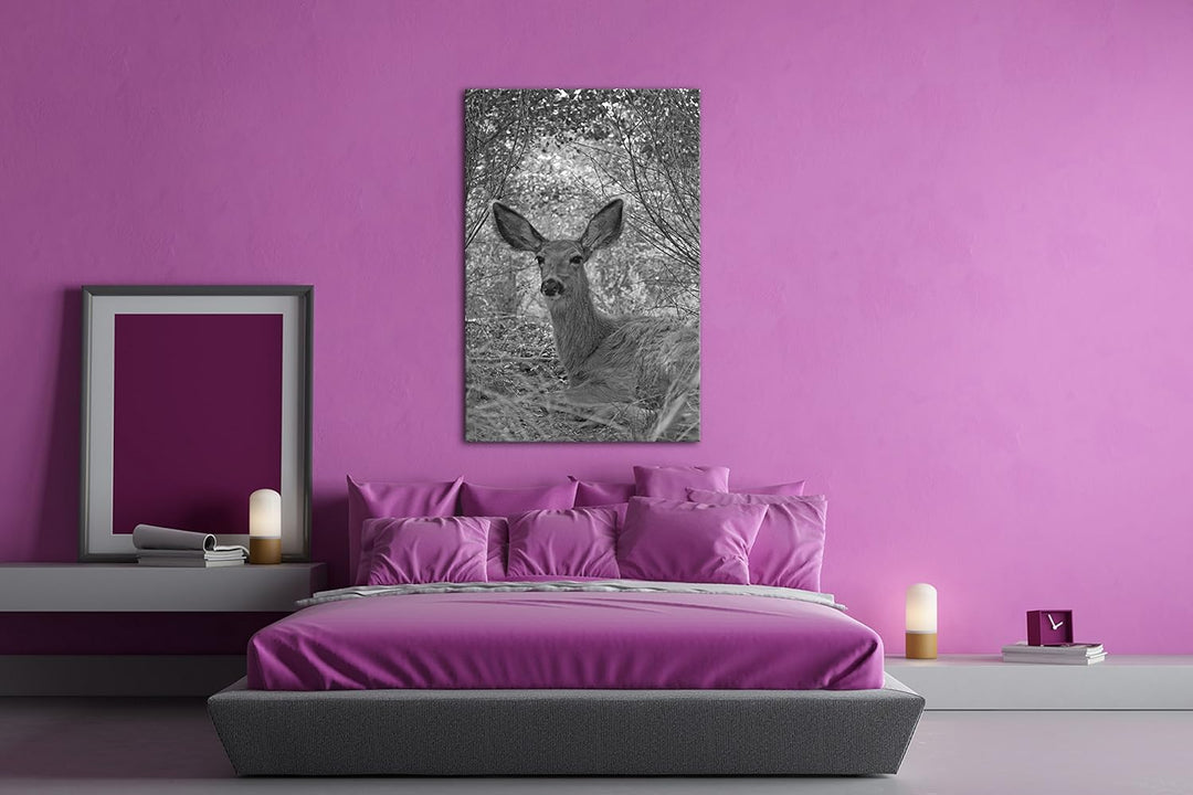 deyoli ruhiges Reh im Wald Effekt: Schwarz/Weiss Format: 80x60 als Leinwandbild, Motiv fertig gerahm