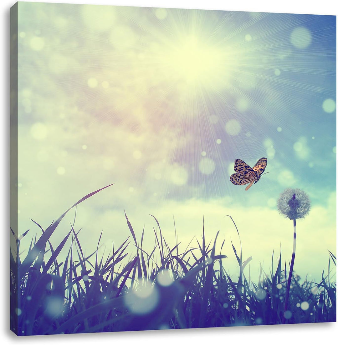 Pixxprint zarter Schmetterling fliegt zu Pusteblume, Format: 70x70 auf Leinwand, 70x70