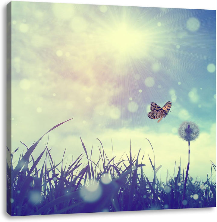 Pixxprint zarter Schmetterling fliegt zu Pusteblume, Format: 70x70 auf Leinwand, 70x70