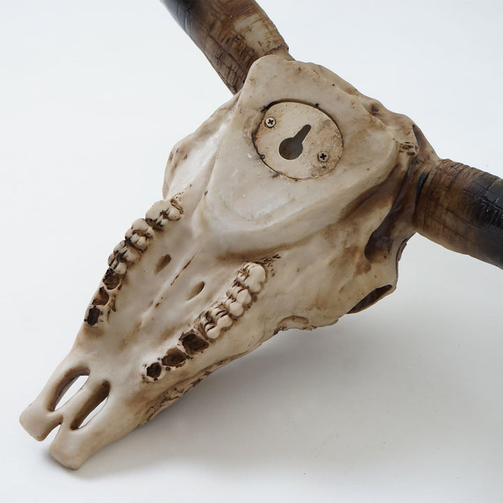 Mendler Deko Schädel 31cm HWC-C15, Polyresin Stier Bulle Longhorn Kopf Trophäe mit Tribal, In-/Outdo