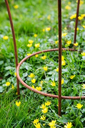 KUHEIGA Stabiler Staudenhalter Rost H: 60cm, Volleisen Strauchhalter, Rankgerüst,