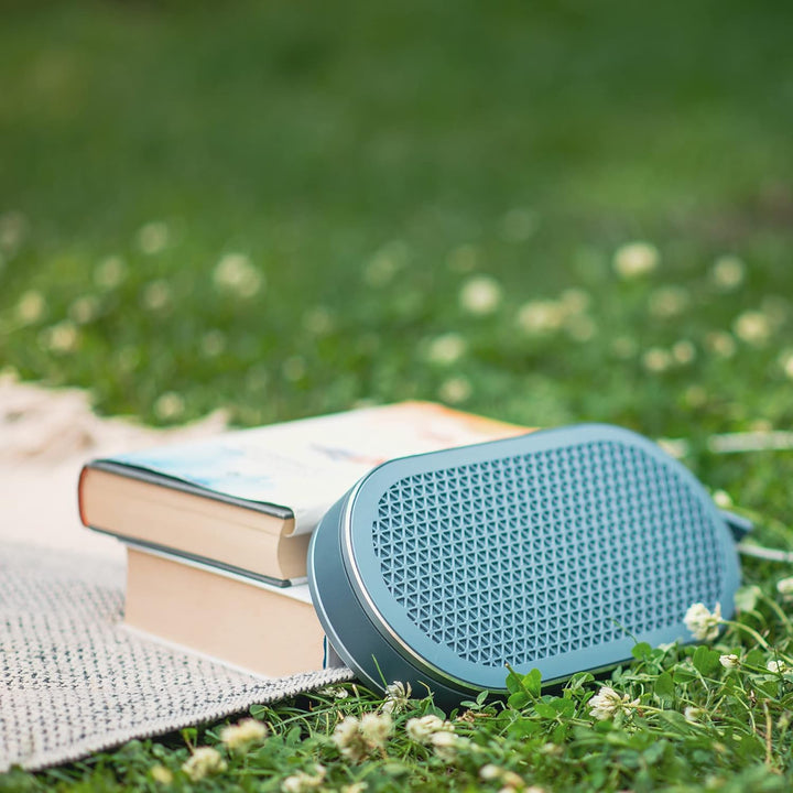 Dali Katch G2 Tragbarer Bluetooth-Lautsprecher, Kabellos, Kompakt, Outdoor-Lautsprecher, 30 Stunden
