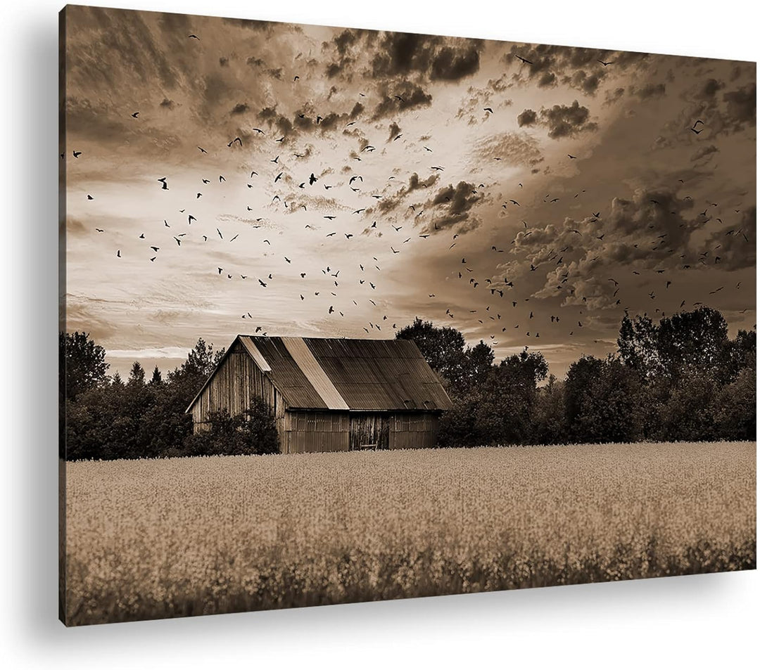 deyoli Scheune am blühendem Feld Effekt: Sepia Format: 60x40 als Leinwandbild, Motiv fertig gerahmt