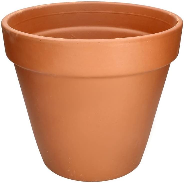 KOTARBAU® 24er Set Blumentopf aus Terrakotta ⌀ 6 cm Übertopf mit Rand für Innenräume und Gärten, Ter
