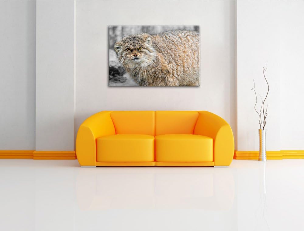 gereizte kleine Manul schwarz/weiss Format: 100x70auf Leinwand, XXL riesige Bilder fertig gerahmt mi