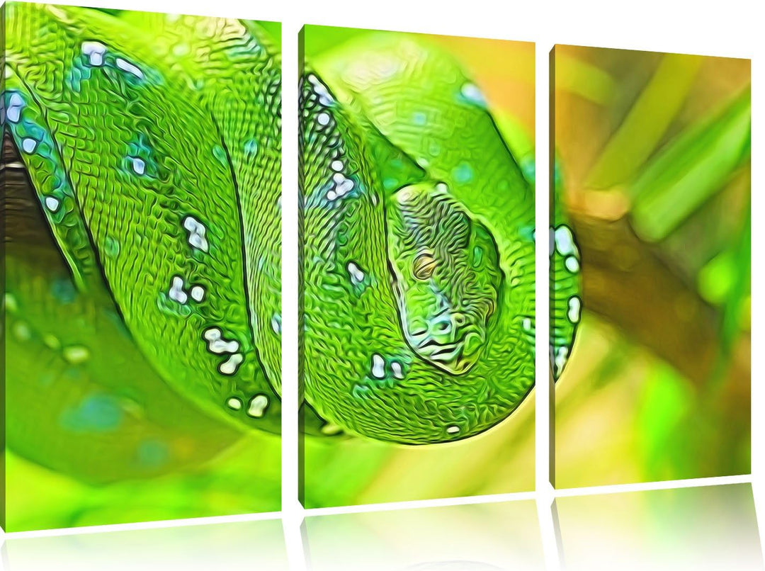 Grüne giftige Baumschlange Spezial 3-Teiler Leinwandbild 120x80 Bild auf Leinwand, XXL riesige Bilde